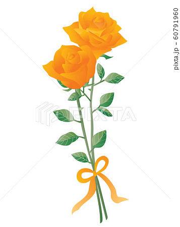 リボンのついたオレンジのバラ2輪のイラストのイラスト素材