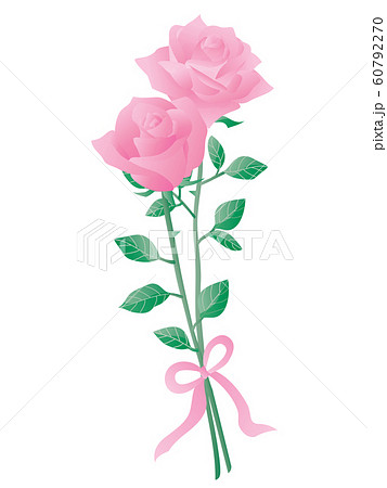 リボンのついたピンクのバラ2輪のイラストのイラスト素材