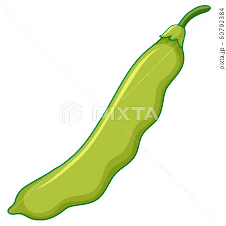 Green bean on white background Green bean on white background 60792384