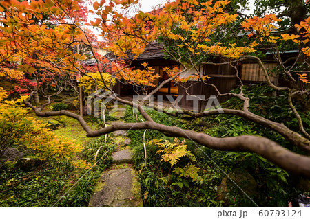 寺島蔵人邸の紅葉 寺島蔵人邸の紅葉 60793124