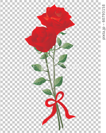 Illustration of two red roses tied with a ribbon 60793158