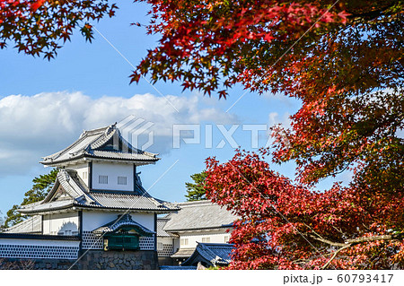 金沢城の紅葉 60793417