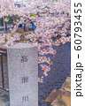 【京都】 高瀬川の桜 【京都】 高瀬川の桜 60793455