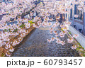 【京都】 高瀬川の桜 【京都】 高瀬川の桜 60793457