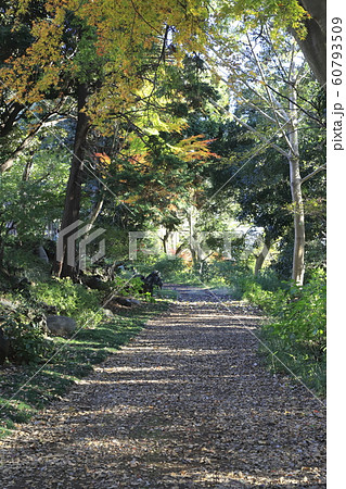 千葉大学 松戸キャンパス 千葉大学 松戸キャンパス 60793509