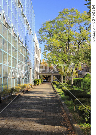 千葉大学 松戸キャンパス 千葉大学 松戸キャンパス 60793564