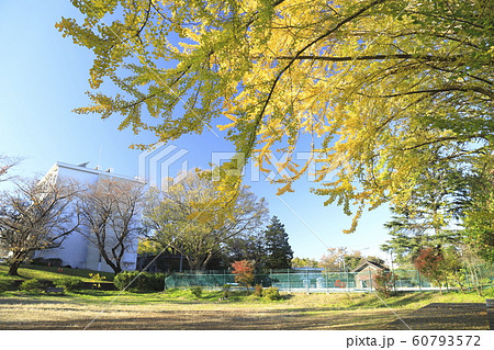 千葉大学 松戸キャンパス 千葉大学 松戸キャンパス 60793572