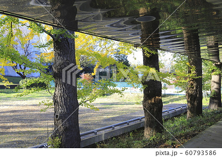 千葉大学 松戸キャンパス 千葉大学 松戸キャンパス 60793586