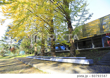 千葉大学 松戸キャンパス 千葉大学 松戸キャンパス 60793587