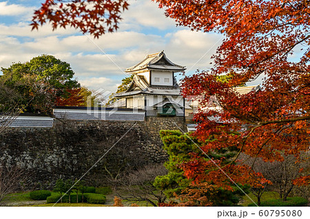 金沢城の紅葉 60795080