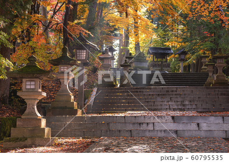 191112神社参道G012 191112神社参道G012 60795535