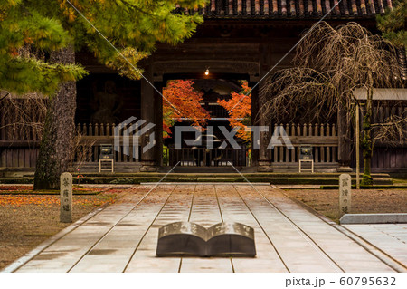 天徳院の紅葉 天徳院の紅葉 60795632
