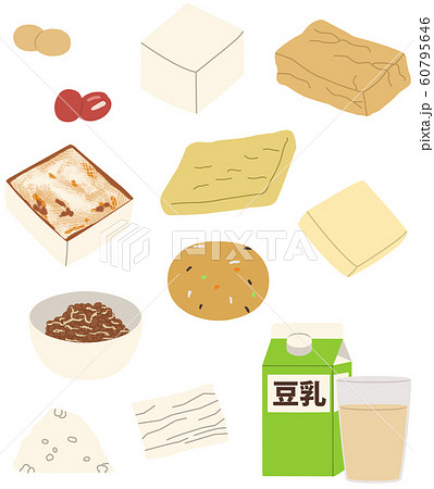 12種類の豆類・大豆製品を並べた主線なしイラスト 60795646