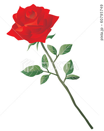 1輪の赤いバラのプレゼントのイラスト素材