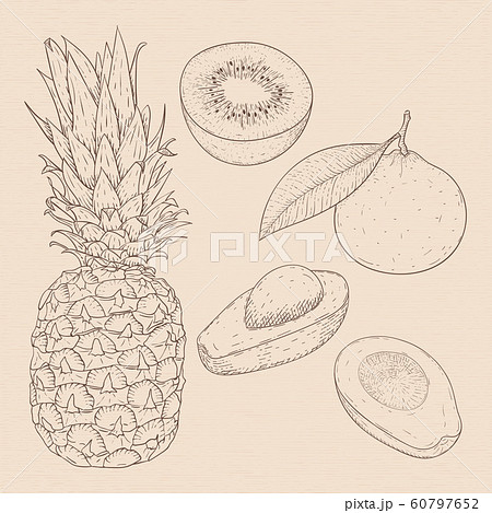 Exotic fruits. Hand drawn sketch on beige background 60797652