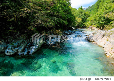 阿寺渓谷 (夏) 阿寺渓谷 (夏) 60797964