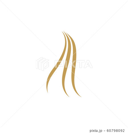 Hair wave logo vector icon 60798092