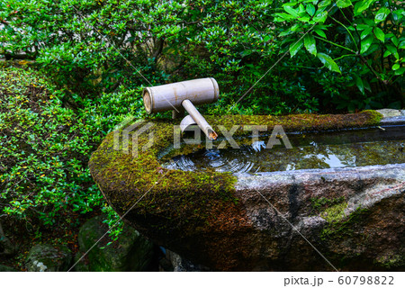 Idyllic landscape of Japanese garden 60798822