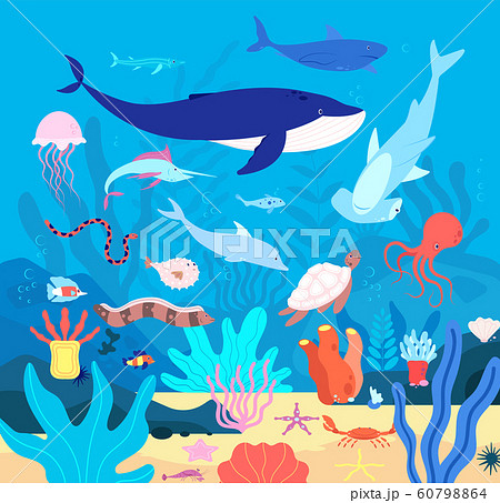 Underwater. Cute undersea animals, cartoon sea... - Stock Illustration  [60798864] - PIXTA