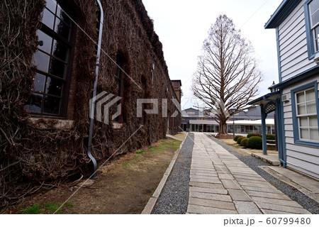 倉敷アイビースクエア敷地内のメタセコイア 60799480