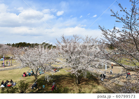 福岡堰さくら公園 福岡堰さくら公園 60799573