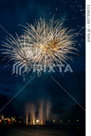 Abstract colored firework object. Variety of colors Mix Fireworks or firecracker burst. celebrate holiday travel night outdoor 60799633