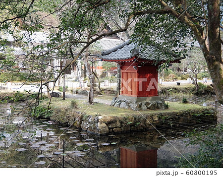 丹生のお大師 女人高野 神宮寺 丹生のお大師 女人高野 神宮寺 60800195