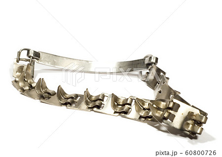 collar collar 60800726