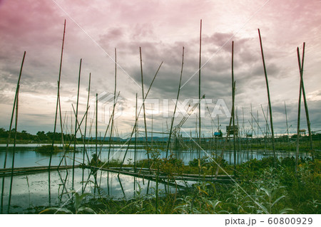 Traditional fishing tool or bamboo fish trap on Traditional fishing tool or bamboo fish trap on 60800929