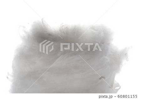 absorbent cotton macro absorbent cotton macro 60801155