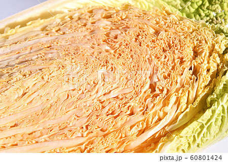 白菜(オレンジクイン) 白菜(オレンジクイン) 60801424