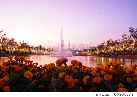 タイ王国ラマ9世公園内の風景 タイ王国ラマ9世公園内の風景 60801578