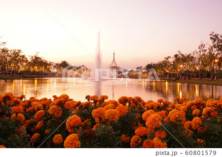 Beautiful park, King Rama IX Park in Thailand Beautiful park, King Rama IX Park in Thailand 60801579