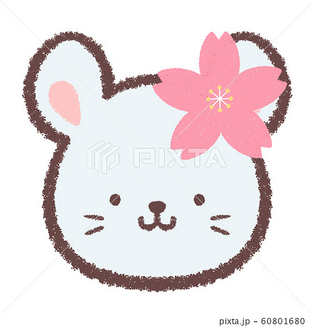 アイコン桜ネズミ アイコン桜ネズミ 60801680