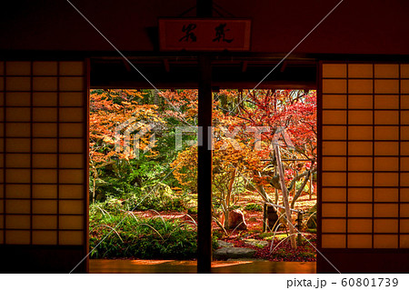 寺島蔵人邸の紅葉 60801739