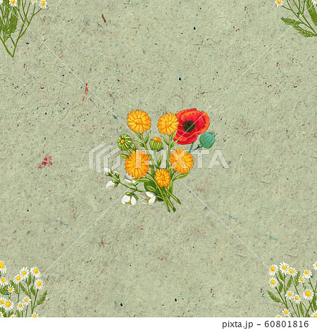 Hand drawn medicinal plant seamless pattern. Healing herbs drawing on craft paper. Hand drawn medicinal plant seamless pattern. Healing herbs drawing on craft paper. 60801816