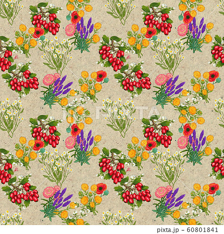 Hand drawn medicinal plant seamless pattern. Healing herbs drawing on craft paper. Hand drawn medicinal plant seamless pattern. Healing herbs drawing on craft paper. 60801841