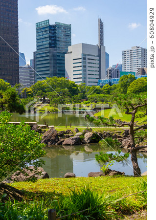 旧芝離宮恩賜庭園とビル 旧芝離宮恩賜庭園とビル 60804929