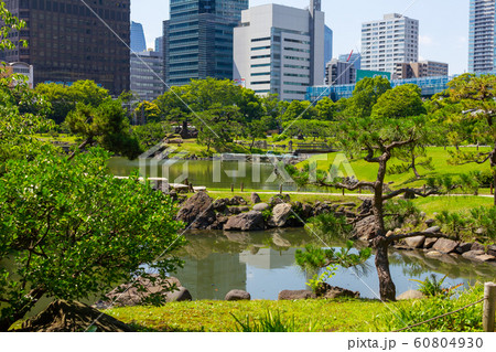 旧芝離宮恩賜庭園とビル 旧芝離宮恩賜庭園とビル 60804930