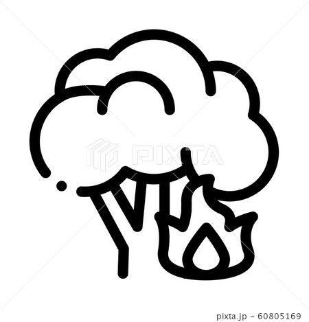 Fire Burning Tree Icon Outline Illustration Fire Burning Tree Icon Outline Illustration 60805169