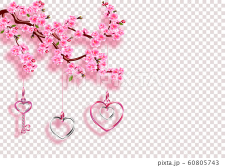 Valentine's Day. Sakura and jewelry. Branches with pink flowers, leaves and buds with shadow. On a transparent background. illustration Valentine's Day. Sakura and jewelry. Branches with pink flowers, leaves and buds with shadow. On a transparent background. illustration 60805743