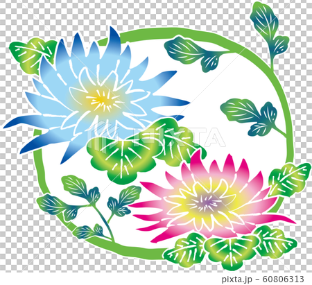 緋紅色的圖案_菊花06 緋紅色的圖案_菊花06 60806313
