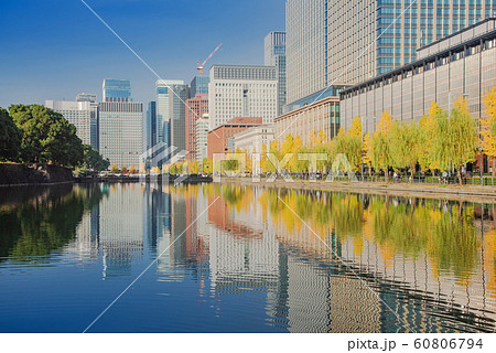 都市風景 江戸城馬場先濠沿いの銀杏並木と高層ビル群 東京都千代田区 都市風景 江戸城馬場先濠沿いの銀杏並木と高層ビル群 東京都千代田区 60806794