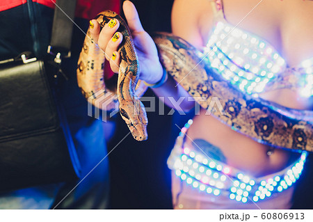 Belly dancer handling an albino Burmese python snake. Belly dancer handling an albino Burmese python snake. 60806913