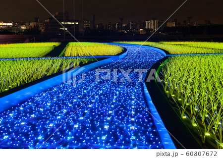大井競馬場　イルミネーション 60807672