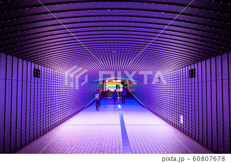 大井競馬場　イルミネーション 60807678