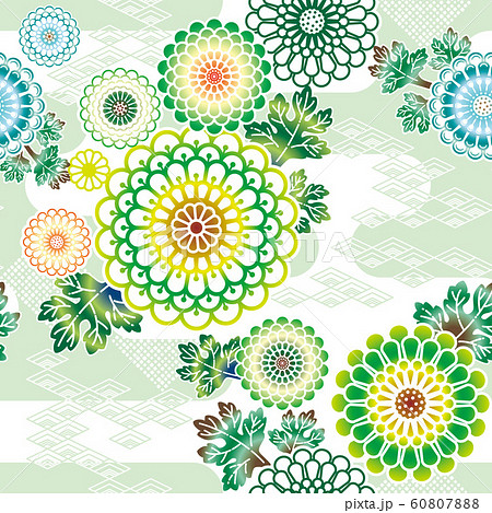 パターン_菊C_緑 パターン_菊C_緑 60807888
