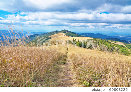 【生石高原】 和歌山県海草郡紀美野町中田 60808226
