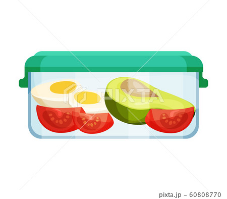 Different Food Stored in Hermetic Container Vector Illustration 60808770