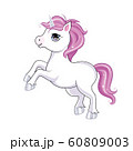 Cute little unicorn character over pink round background. Vector. 60809003